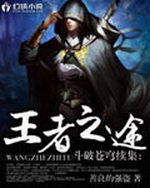 斗破苍穹续集王者之途